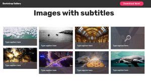 Image result for CSS Gallery Example