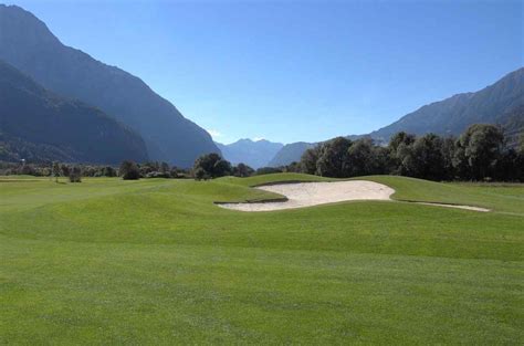 Image result for How to Grow Grass Quickly