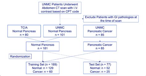 Randomization Selection Cartoon に対する画像結果