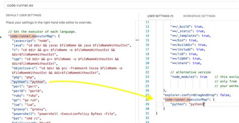 Image result for German Python Code