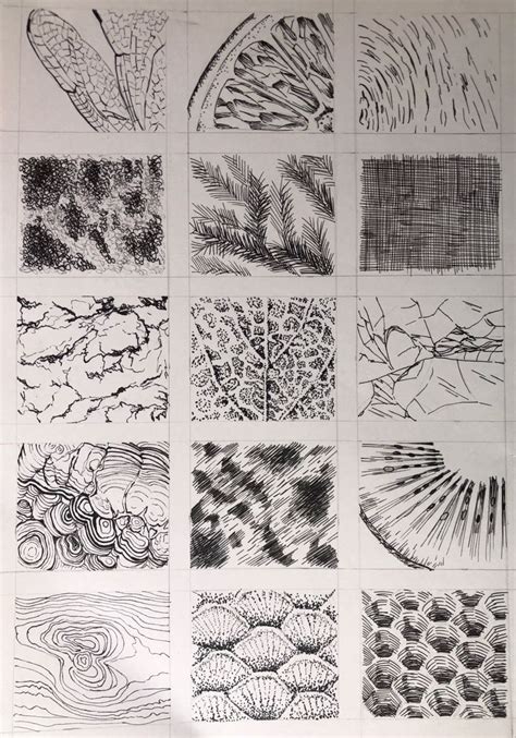 Image result for 1.5 Texture Line Drawing Techiques Worksheet