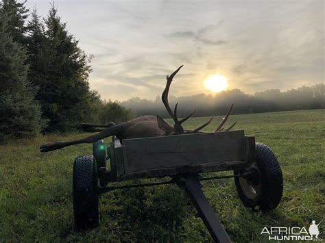 Toradh íomhá ar Manitoban Elk Canada