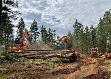 Image result for Logging Line Mallet