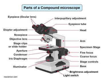 Toradh íomhá ar Compound Microscope Meaning