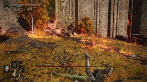 How to Defeat Draconic Tree Sentinel in Altas に対する画像結果