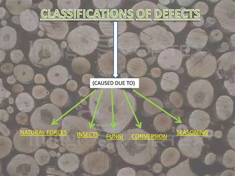 Image result for Natural Timber Defects