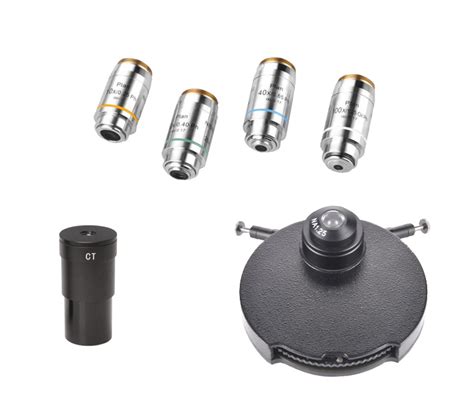 Phase Contrast Microscope Light Path に対する画像結果