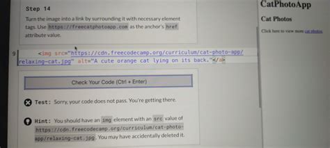 Image result for Freecodecamp Step 64