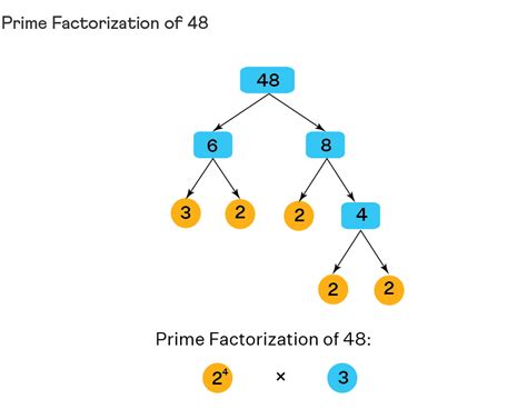 Toradh íomhá ar What Is Prime Factorization