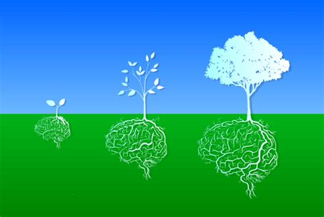 Image result for Learning Is a Continuous Process