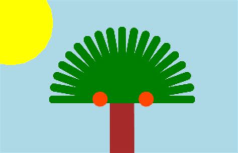 Image result for CodeHS Python Projects