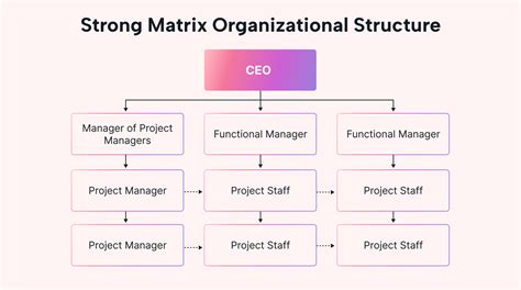 Image result for Matrix Org Structure