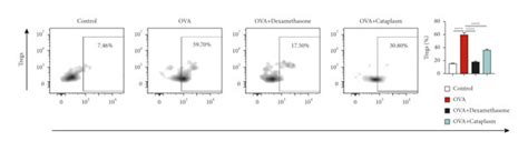 Image result for Sequential Gating Flow Cytometry