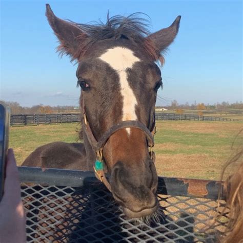 Image result for Facebook Loading Interface Image