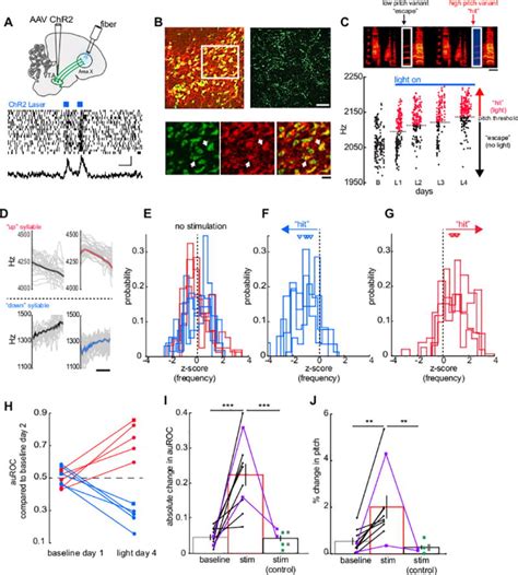 Afbeeldingsresultaten voor Motor Learning Internal Process