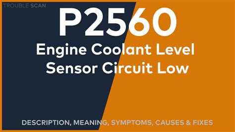 Image result for Code P0809 Ford