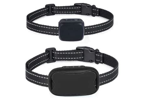 Image result for How to Use a Bark Collar for Dogs