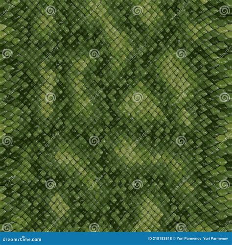 Image result for Python Skin Stencil