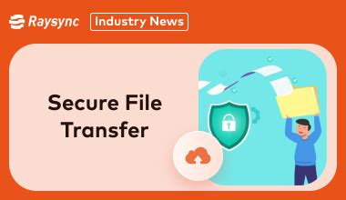 Image result for Secure File Transfer Service