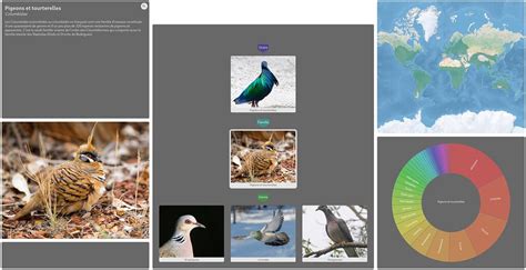 Image result for iNaturalist Map Color Chart
