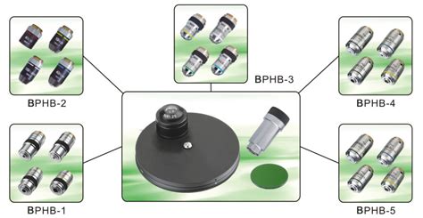 Phase Contrast Microscope Light Path に対する画像結果