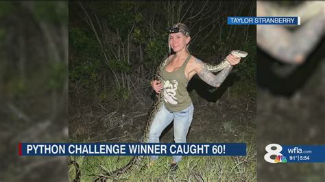 Image result for Python Winner