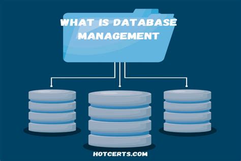 Image result for Information Technology Database Management