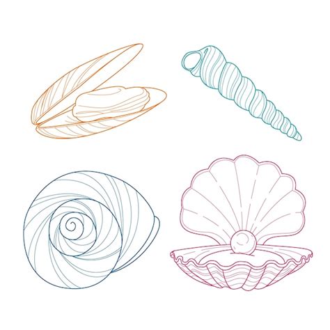 Shell Line Art に対する画像結果