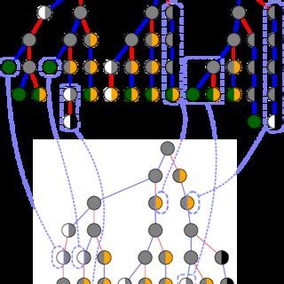 Image result for Decoder Tree