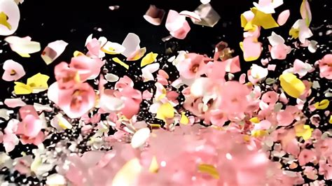 Intro Photo എന്നതിനുള്ള ഇമേജ് ഫലം