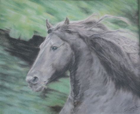 Image result for Tableaux De Frison's