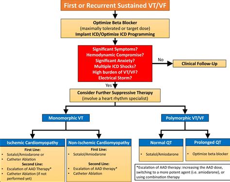 Wide Complex Tachycardia Algorithm ACLS Pulseless に対する画像結果