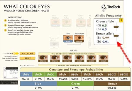 Image result for Eye Color Probability Chart