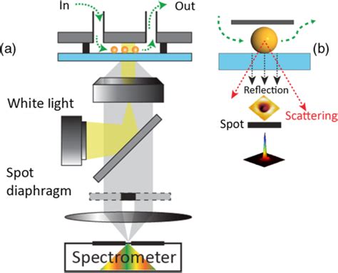 Image result for Microscope Spectrometer Setup
