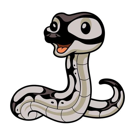 Image result for Cartoon Snake Python Realistic