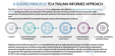 Image result for Working with Trauma Informed Practises