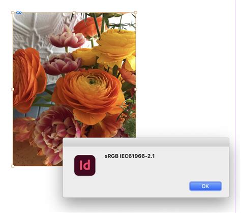 Toradh íomhá ar Log InDesign Java