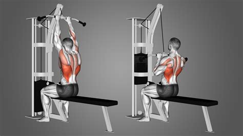 Back Muscle Machine Program에 대한 이미지 결과