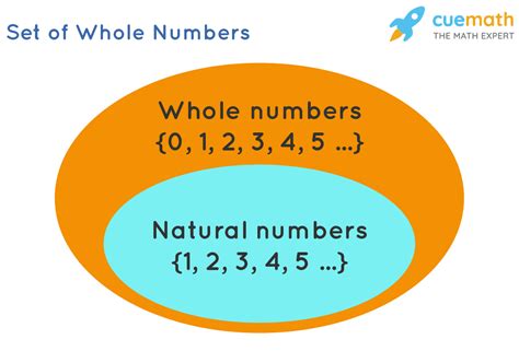 Image result for Whole Numbers in Python