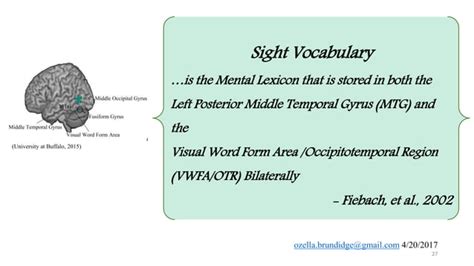 Bildergebnis für How Brain Learns to Read and Spell