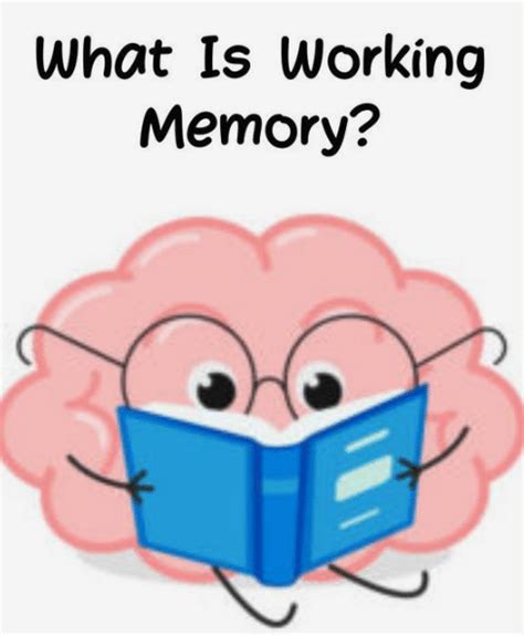 Short-Term Work Memory に対する画像結果