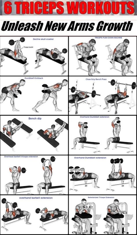 Afbeeldingsresultaten voor Bicep and Tricep Workout