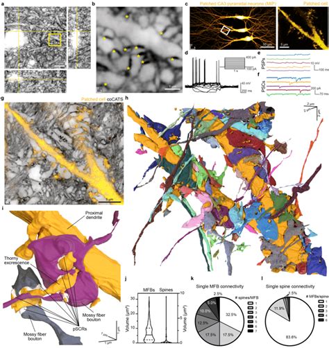 Toradh íomhá ar Local Input Source Panel