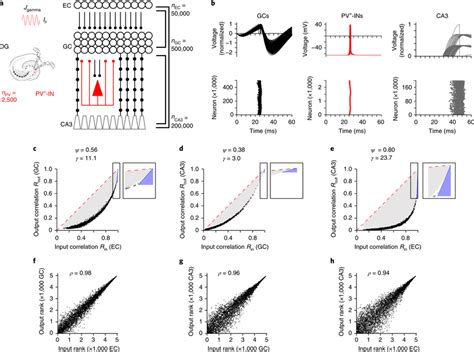 Image result for Data Separation Design Pattern
