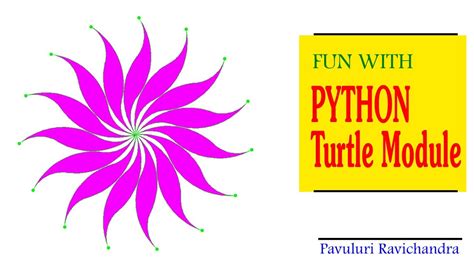 Image result for Python Turtle Flower