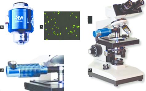 Toradh íomhá ar LED Microscope Light Wiring Diagram