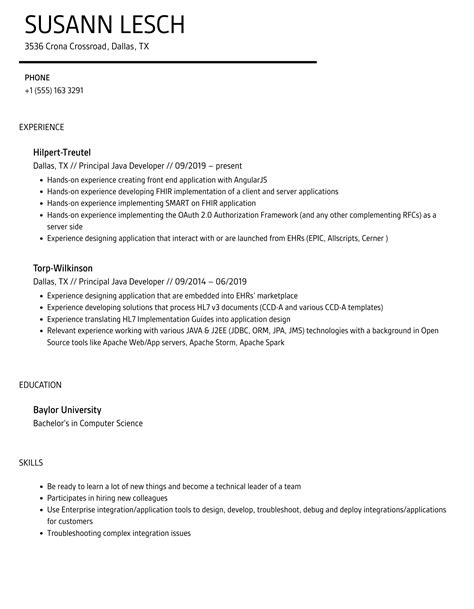 Afbeeldingsresultaten voor Principal Java Developer CV Example