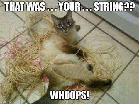 Image result for Red String Meme