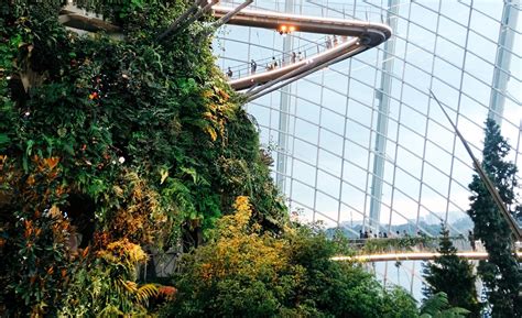 Integrated Reporting Framework Horizontal Line に対する画像結果