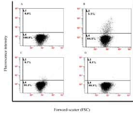 Afbeeldingsresultaten voor GFP Scatter Plot Flow Cytometry